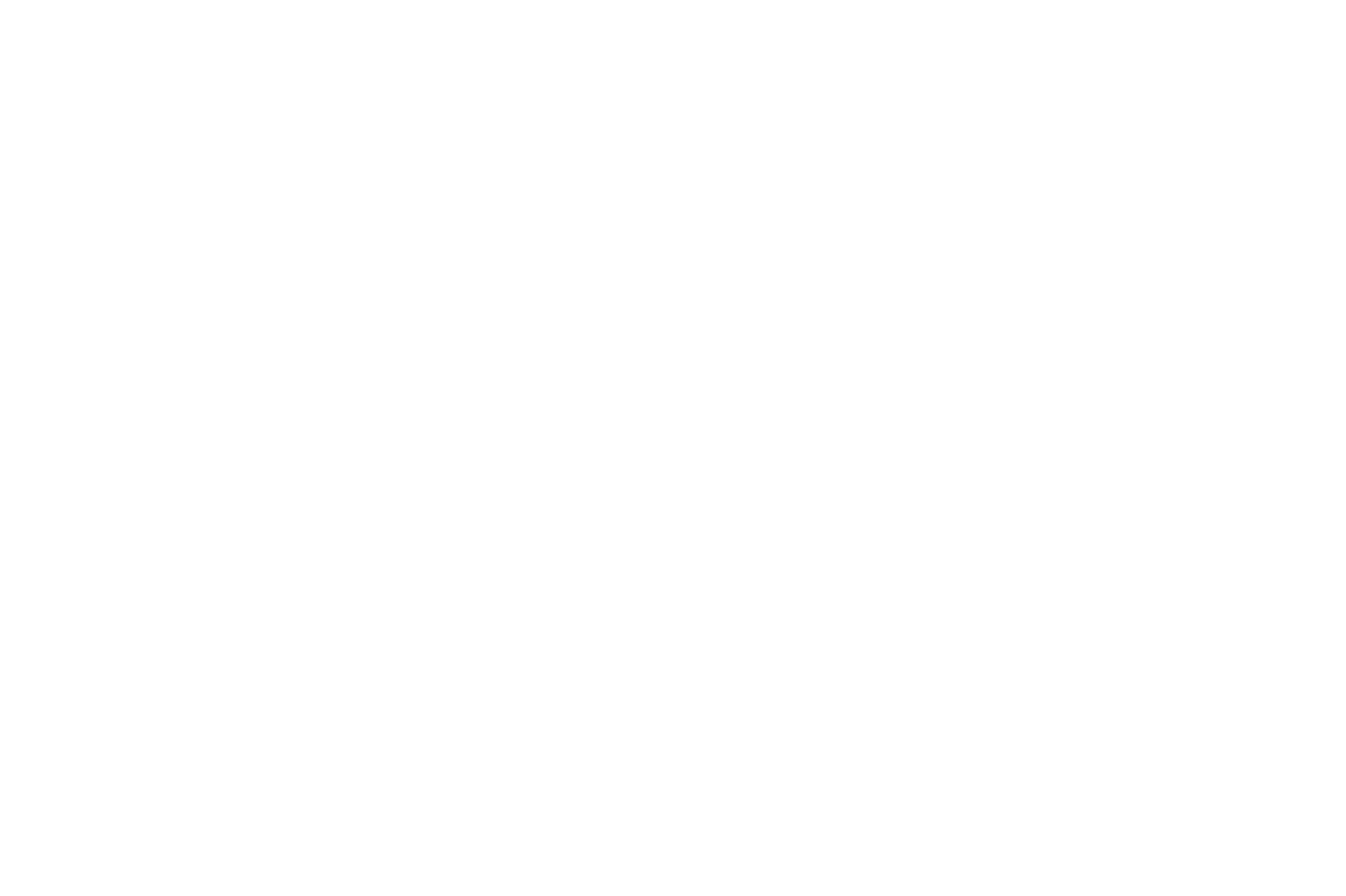 Custom Web Development