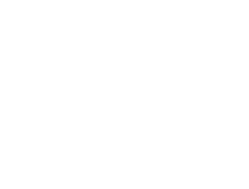 E-Commerce & SEO Optimization